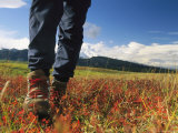 Close View of Womans Hiking Boots with Meadow and Mountains Photographie
