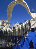 Shark Tooth Jewelry is Displayed on a Shark Jawbone Fotografisk trykk av Clarita Berger