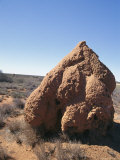 A Termite Mound in Australia Photographie