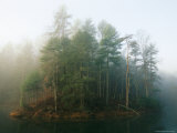 Early Morning Fog in the Trees Around Otter Lake Photographie