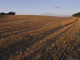 Plowed Field, Denmark Photographic Print