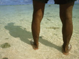 Baby Reef Sharks Circle a Dive Guide in Nikumaroro Lagoon Photographic Print