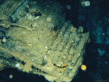 An Encrusted Old Typewriter in a Sunken Ship off the Coast of Brazil Photographic Print