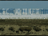Thick Hudson Bay Ice at Wapusk National Park Photographic Print