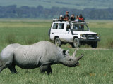 Tourists View a Rhinoceros from a Safari Jeep Photographic Print by Richard Nowitz