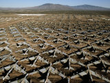 Field of Military Planes Photographie