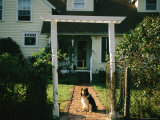 A Sheltie Sits on a Brick Walk in Front of a Home Photographic Print by Joel Sartore