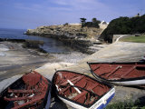 Boats Decorate the Edge of Walker Bay in Hermanus, South Africa, Hermanus, Republic of South Africa Photographic Print by Stacy Gold