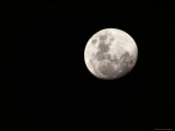 Large, Clear-Featured Moon on a Black Background, Chobe National Park, Botswana Photographic Print