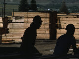 Workers Sort and Stack Lumber by Grade at the Salmon Sawmill Photographic Print