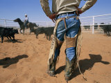 A Cowboy Rounds up Some Cattle for Branding Photographic Print by Jodi Cobb
