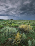 Sauge et nuages menaçants près de Gallup Photographie par Phil Schermeister