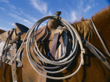 A Close View of a Saddled Horse and a Rope Photographic Print by Jodi Cobb