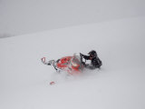 A Man Turns Sharply in Deep Powder During a Snowstorm Lámina fotográfica A Man Turns Sharply in Deep Powder During a Snowstorm Lámina fotográfica