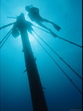 A Diver Swims Near the Mast of a Shipwreck Near Bermuda Photographic Print by Brian J. Skerry