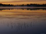 A Curtain of Mist Veils the Surface of Kidney Pond Photographic Print by Phil Schermeister