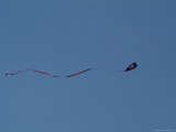 Kite Flying against a Blue Sky Photographic Print