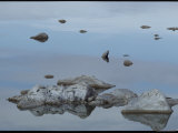 Rocks Reflected in the Water at Mono Lake Photographic Print