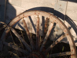 An Old Wagon Wheel Sits Rotting in the Afternoon Sun Fotografie-Druck von Taylor S. Kennedy