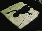The Shadow of a Child with a Raised Hand Falls onto a Stone Floor Photographie