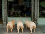 Three Plastic Pigs Window Shopping in New York Photographic Print