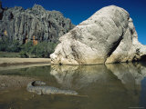 A Johnstons Crocodile at the Waters Edge Photographic Print by Jason Edwards