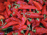 A Large Group of Bright Red Chili Peppers Photographic Print