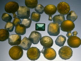 Emerald and Opal Collection, Some of Which May Have Been Used as Buttons Photographic Print