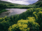 A Creek Bends Through a Lush Valley Photographic Print by Melissa Farlow