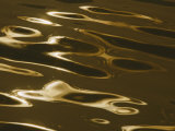 Ripples of Water Reflect the Setting Sun Photographic Print by Todd Gipstein