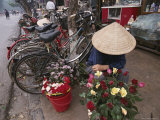 A Flower Vendor Sitting on a Sidewalk Next to a Row of Parked Bicycles Photographic Print by Steve Raymer