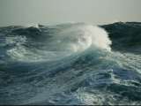 Close View of a Cresting Wave Photographic Print by Maria Stenzel