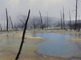Hot Spring, Upper Geyser Basin Photographic Print