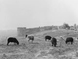 The East Tower of the Acropolis Walls, Once Used as a Prison Photographic Print