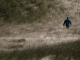 Hiker in the Tall Grass Photographie