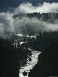 The River Cuts Silver Curves Through Dark Pines and Fog Photographic Print