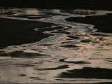 Tantalus Creek, Norris Geyser Basin, at Sunset Photographic Print