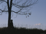 A Young Girl Leans against a Leaf-Less Tree on a Hill Photographic Print