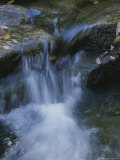A Gentle Waterfall Cascades over Smooth Rocks with Autumn Leaves Photographie