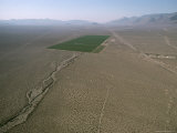 An Aerial View of a Small Patch of Irrigated Ground in a Desert Photographie