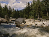 White water rapids roll over rocks in a river running through woods Lámina fotográfica
