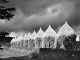 Storm Light on Grain Stacks Not Far from the Bridge of Cally Photographic Print