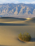 The Wind Creates Patterns in the Sand Photographic Print by Marc Moritsch