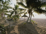 A Hammock, Umbrella, and Swaying Palms Welcome the Rising Sun Photographic Print