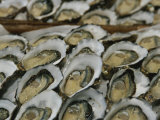Oysters on the Half-Shell Glisten with Briny Sweetness Impressão fotográfica por Nicole Duplaix Oysters on the Half-Shell Glisten with Briny Sweetness Impressão fotográfica por Nicole Duplaix