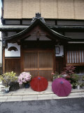 Azaleas Bloom Outside a Doorway Where Two Colorful Umbrellas Lie Photographie