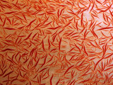 A Close-up View of a Soft Coral Photographic Print by Wolcott Henry