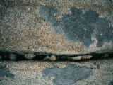 Stones Fill a Crack in a Large Rock Photographie