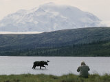 A Photographer Takes a Picture of a Bull Moose Wading in Warden Lake Photographic Print