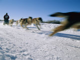 A Dogsled Team Whizzes Past the Camera During a Race Along Chena Lake Photographic Print by Maria Stenzel